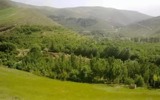 عکس بند