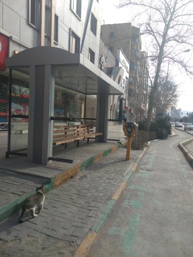 عکس ایستگاه اتوبوس شهید صادقی 15