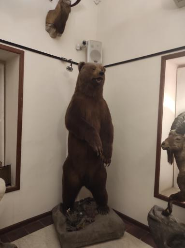 عکس موزه حیات وحش