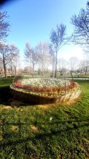 بوستان شهروند