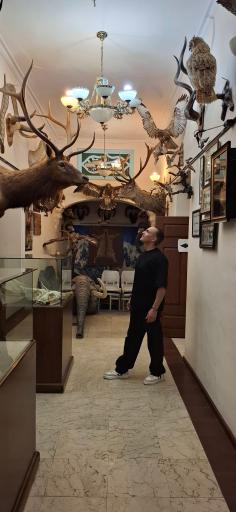 عکس موزه حیات وحش