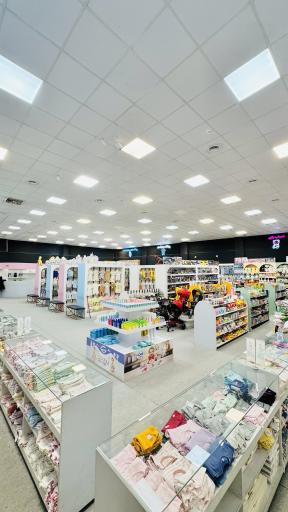 عکس سیسمونی سیسکالا