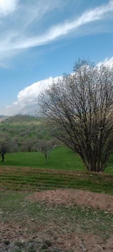 عکس شاهدشهر