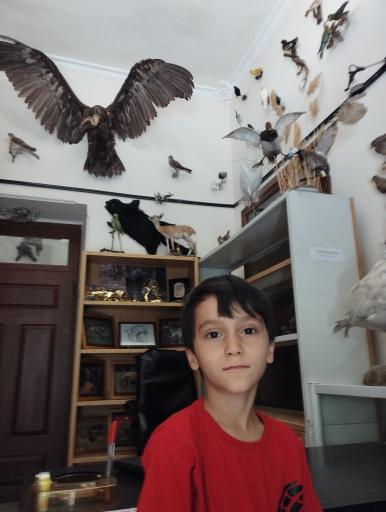 عکس موزه حیات وحش