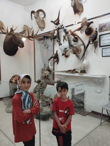 عکس موزه حیات وحش