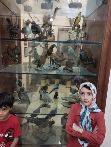 عکس موزه حیات وحش