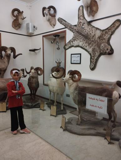 عکس موزه حیات وحش