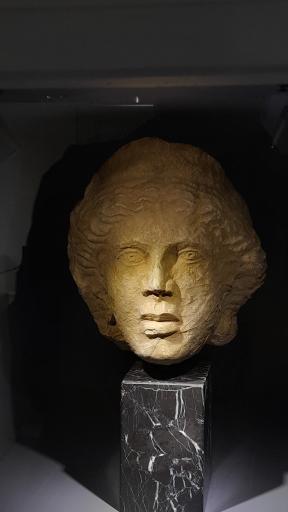 عکس موزه هنر جهان