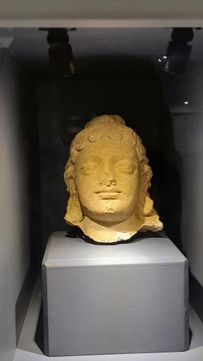 عکس موزه هنر جهان