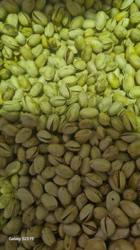 عکس کارگاه پسته شکنی شرکت خشکبار سادات