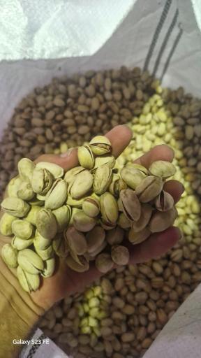 عکس کارگاه پسته شکنی شرکت خشکبار سادات
