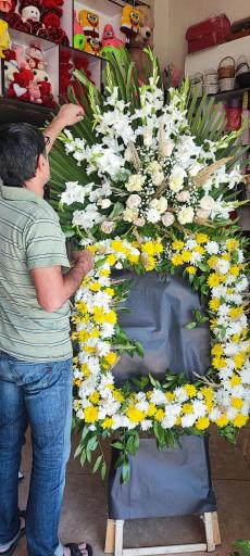 عکس گل بامبو