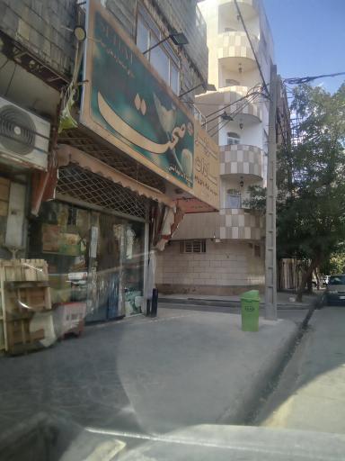 مواد غذایی سادات