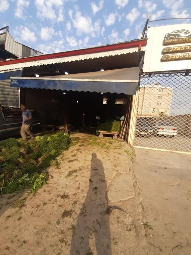 عکس هایپر سبزی سبز