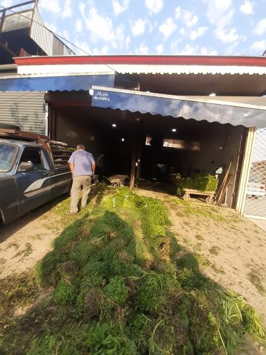 عکس هایپر سبزی سبز