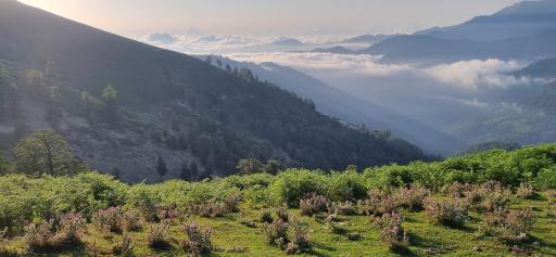 عکس ییلاق سوئه چاله