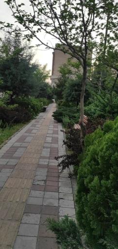 عکس بوستان زمرد 