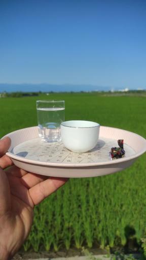 عکس قهوه سرای نیلا