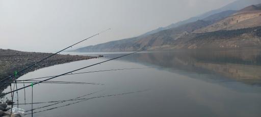 عکس ساحل سد سفیدرود