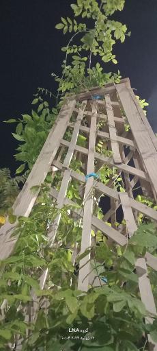 عکس پارک جهان شهر 