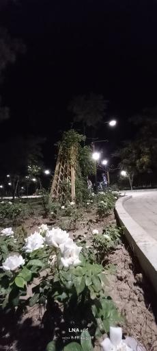 عکس پارک جهان شهر 