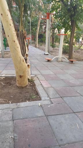 عکس میدان مداین