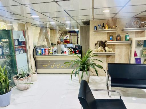 عکس اتو سرویس حیدری نسب