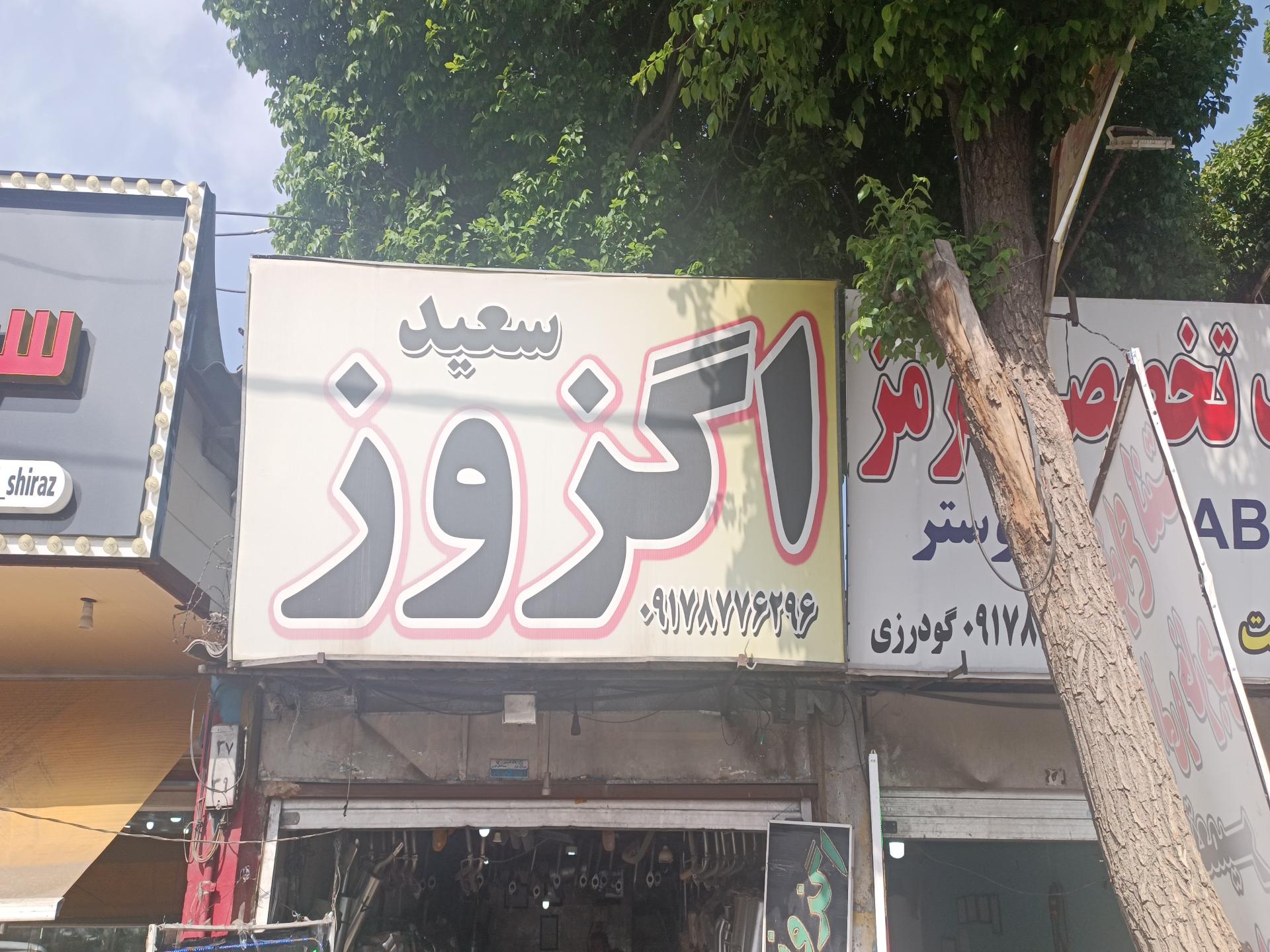 عکس اگزوز سعید 