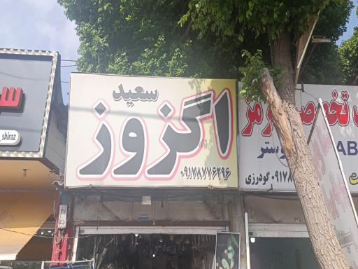 عکس اگزوز سعید 