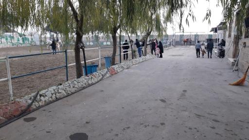 عکس باشگاه سوارکاری دهقان