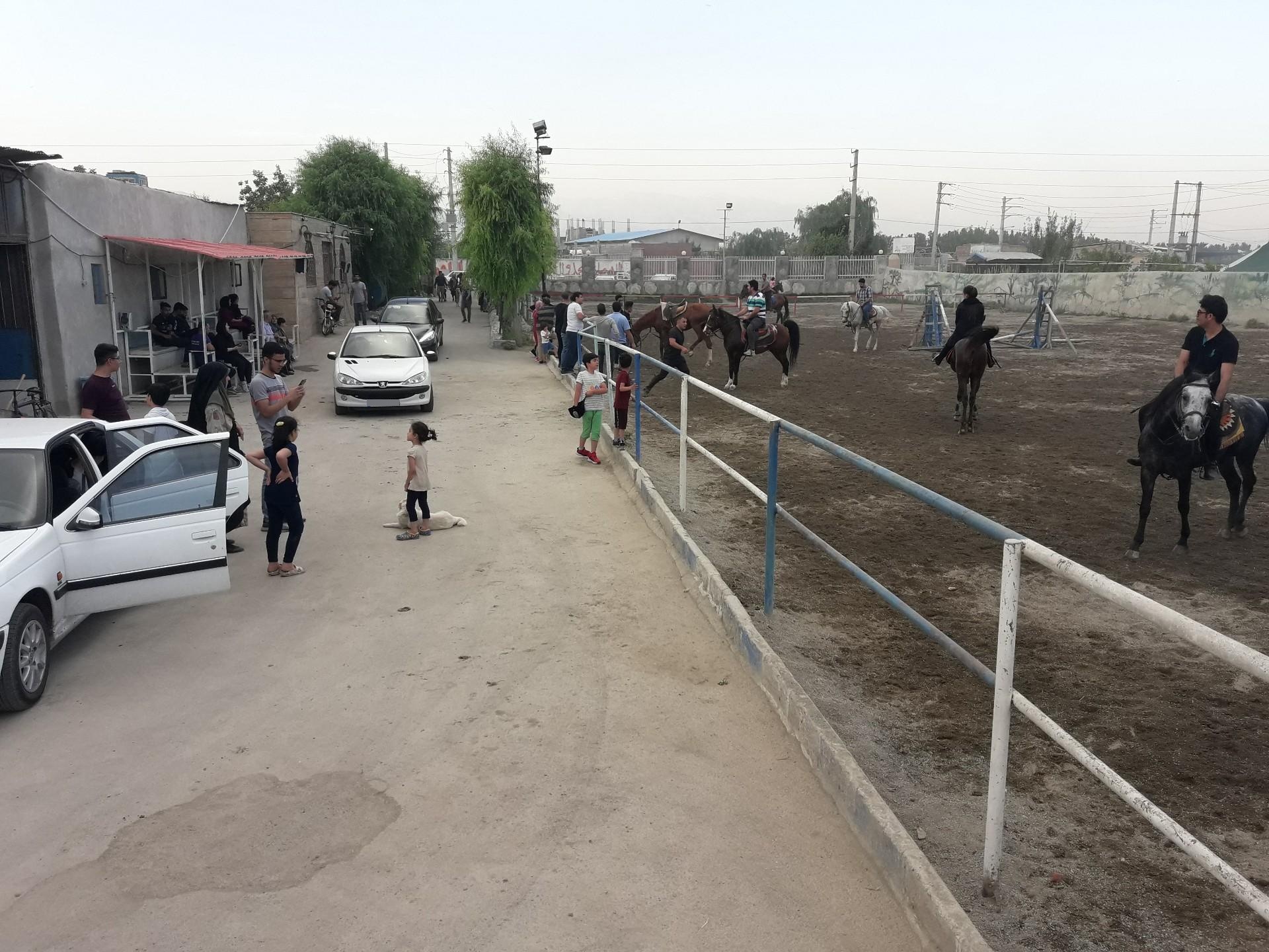 عکس باشگاه سوارکاری دهقان