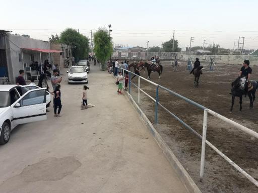 عکس باشگاه سوارکاری دهقان
