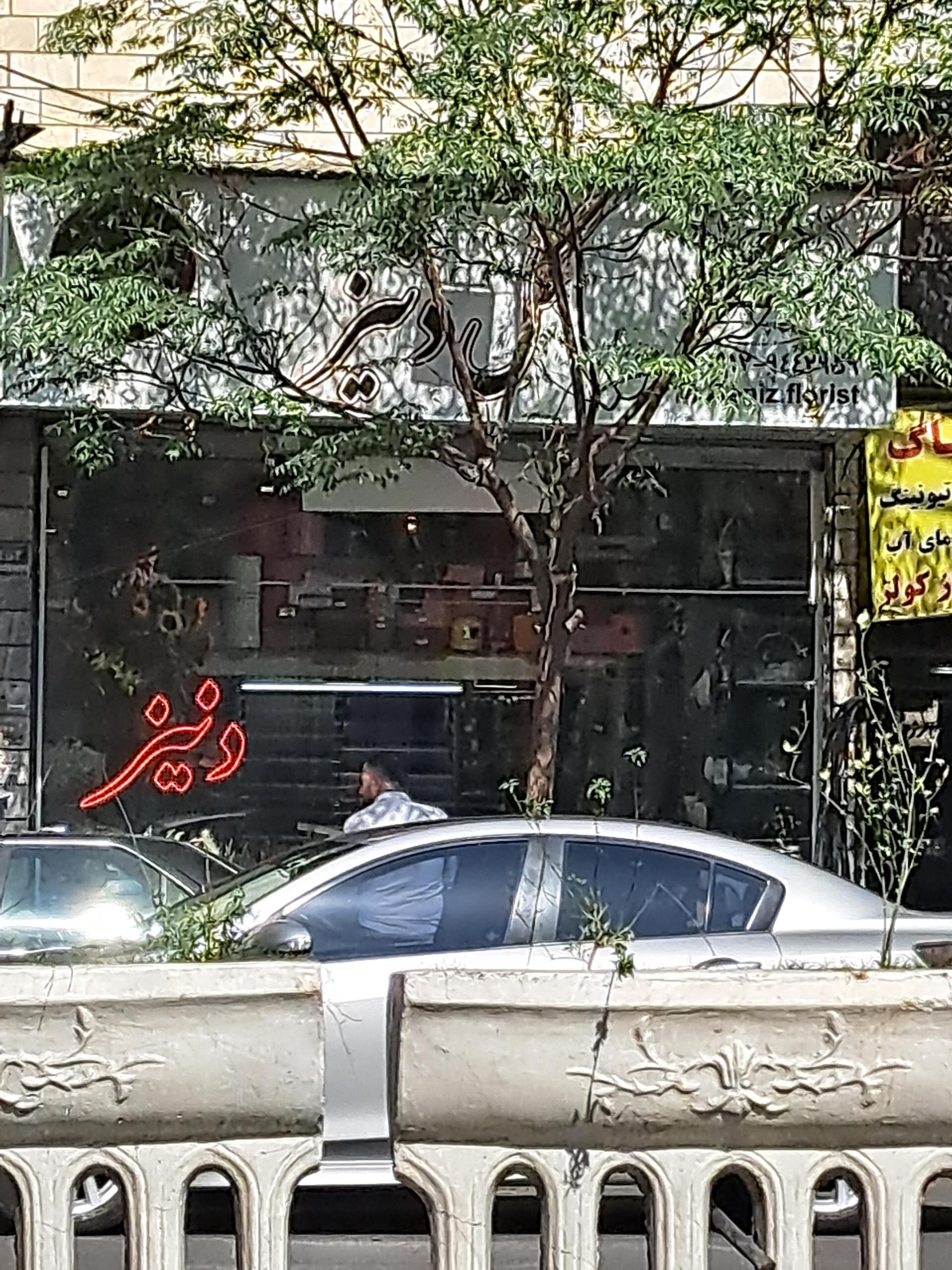 عکس گل فروشی دنیز 