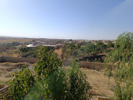 عکس شیرین بلاغ