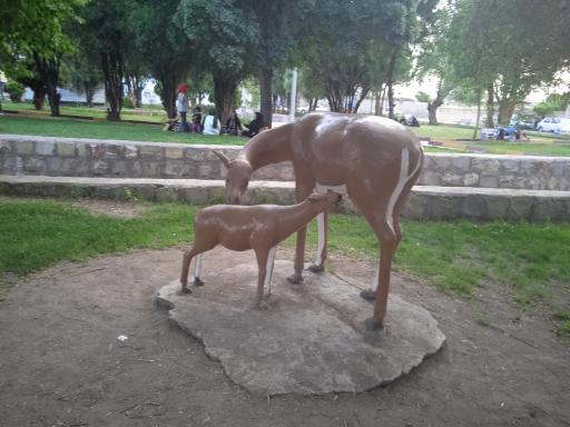 عکس پارک شهر بردسیر