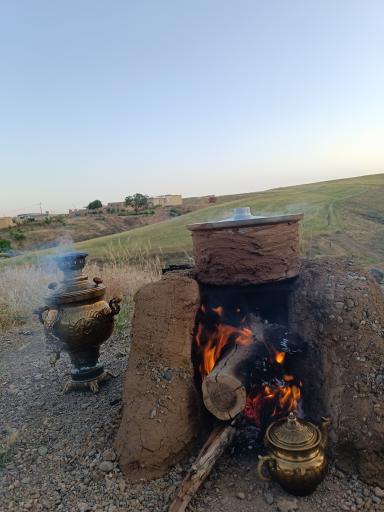 عکس شیرین بلاغ
