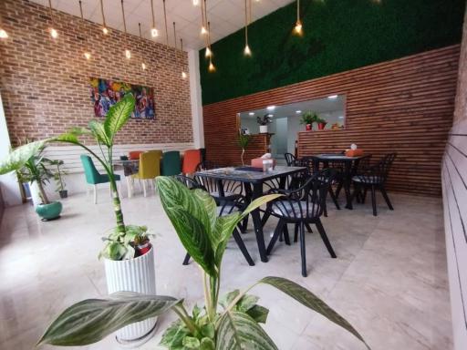 عکس آشپزخانه سورنا