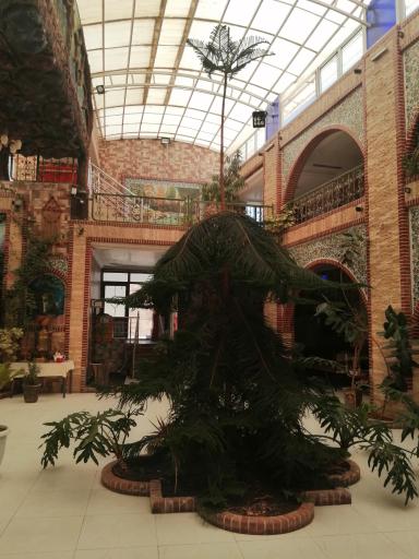 عکس رستوران پروازی