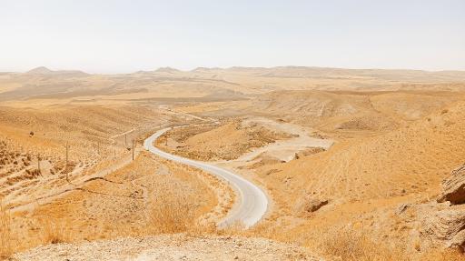 عکس شیرین بلاغ