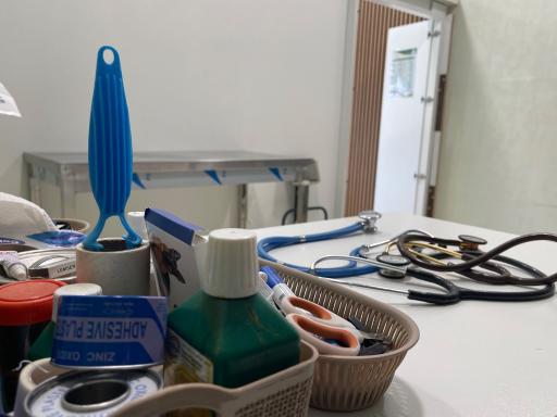 عکس کلینیک دامپزشکی هیراد