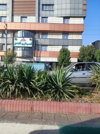 عکس شهرداری قلعه نو