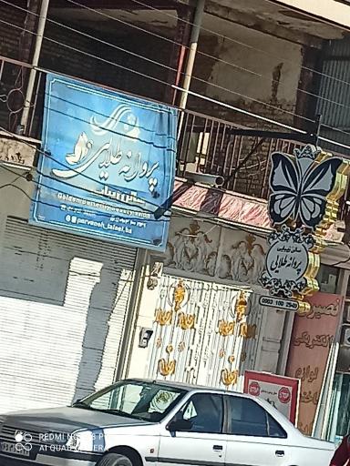 عکس سالن زیبای پروانه طلایی