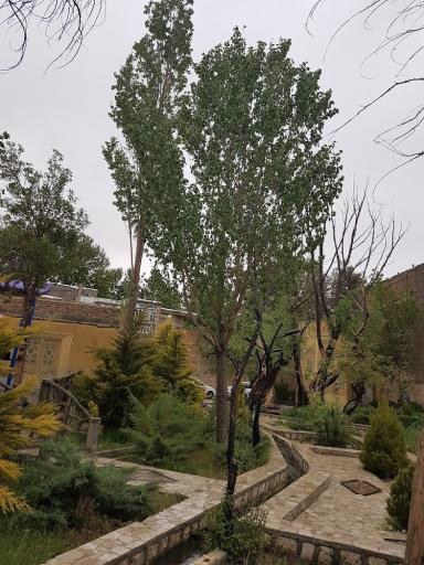 عکس پارک سعدی