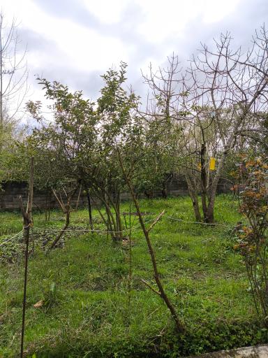 عکس چهارده