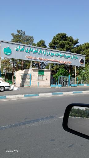 عکس بازار تره بار شهرداری