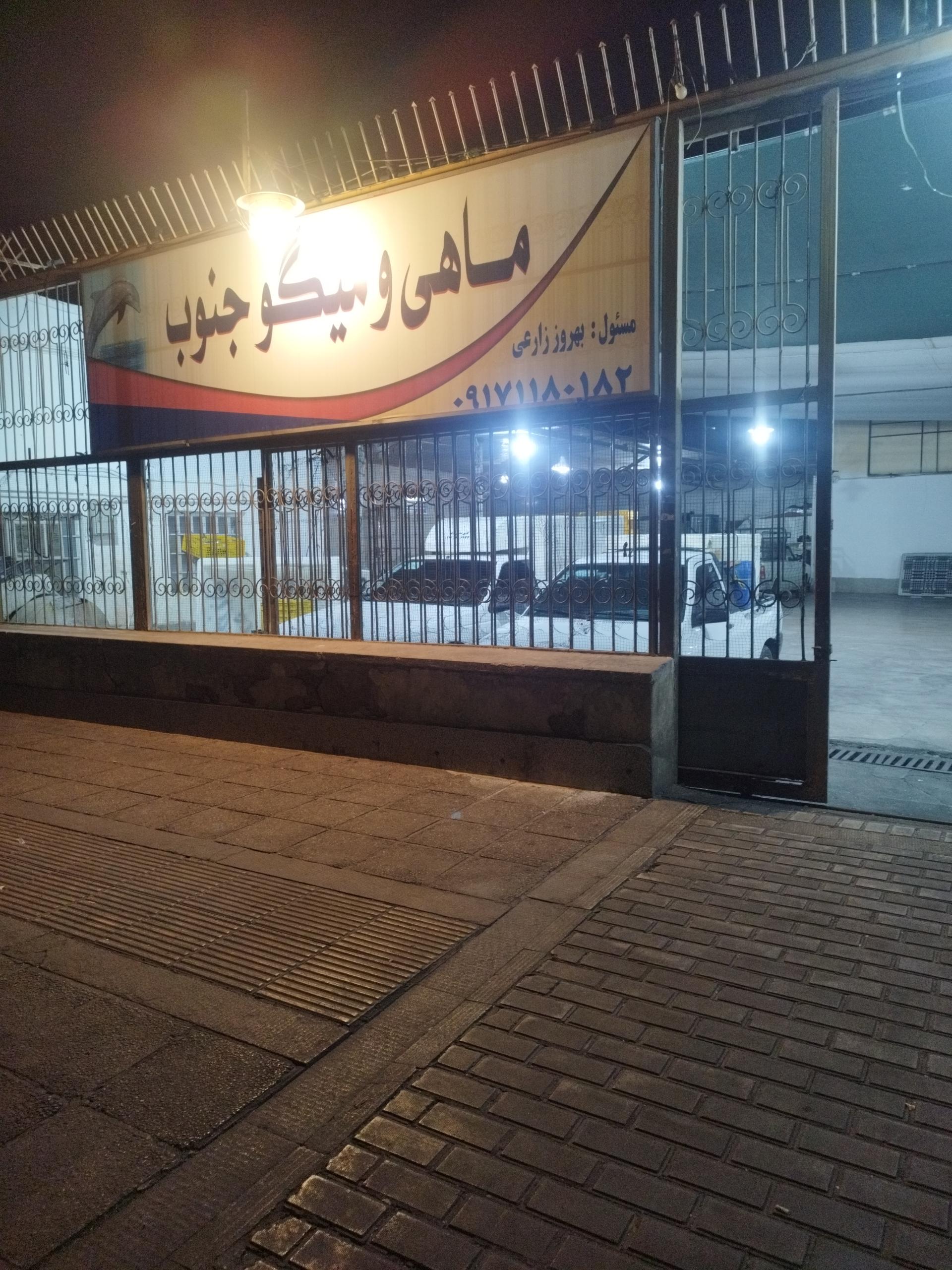 عکس ماهی و میگوی  جنوب 