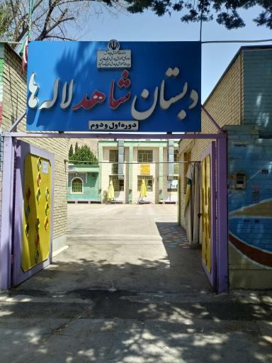 عکس دبستان شاهد لاله ها