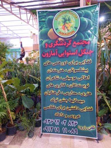 عکس جنگل استوایی آمازون