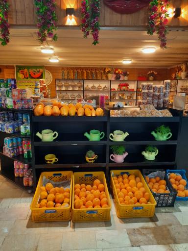 عکس جنگل استوایی آمازون