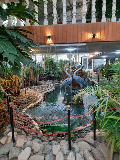 عکس جنگل استوایی آمازون